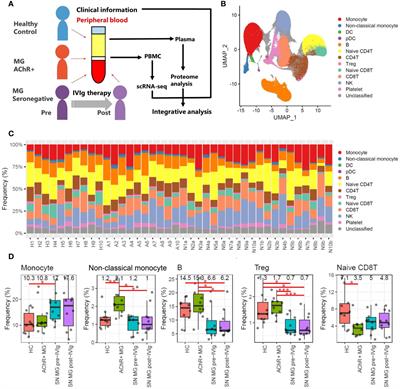 B-cell immune dysregulation with low soluble CD22 levels in refractory seronegative myasthenia gravis